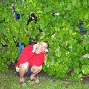  , , 50  -  1  2012   2012