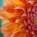 ���� ����� - ���������� ��������!!!, �����������, 56 ��� - ��������� 11 ������ 2010 � ������ ����������