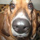 ���� ����, ������� - ��������� 17 ����� 2010 � ������ �������