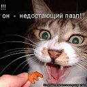 ���� ˸��, ����, 44 ���� - ��������� 26 ���� 2012 � ������ ������