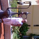 ���� ������, ������, 67 ��� - ��������� 9 ������ 2013