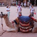 ���� �������, ���������, 51 ��� - ��������� 28 ����� 2010 � ������ ����������