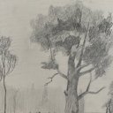 ���� ���, ����������, 37 ��� - ��������� 1 ������� 2009 � ������ �"��� �������"�