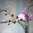 ���� �������, ������������ - ��������� 25 ������� 2012 � ������ ���� ��