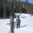 ���� ��������, �����-���������, 71 ��� - ��������� 26 �������� 2012 � ������ ���� ����������