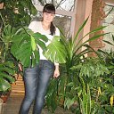  , Ѹ!!!, , 38  -  25  2010    