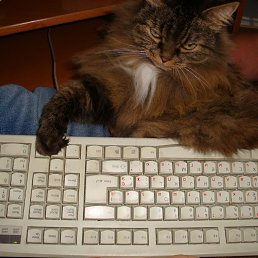 ���� ����, ��������� - ��������� 22 ������� 2012