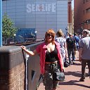 ���� ����, �������, 57 ��� - ��������� 27 ��� 2012 � ������ �Walk into the Sea life centre�