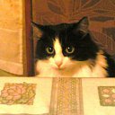 ���� �����, ������ - ��������� 24 �������� 2011 � ������ �������