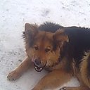  Vytautas, , 66  -  8  2010   foto