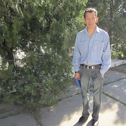 ����, �������, 55 ���