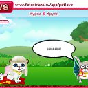  ,  -  24  2011   PetLove