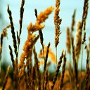  Infinitty, , 27  -  30  2011    !