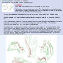 ���� [Pelmen`], ����������, 26 ��� - ��������� 24 ������� 2011 � ������ ������,����,�����