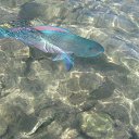 ���� ������, ���������, 49 ��� - ��������� 28 ������ 2011 � ������ ���� ����������