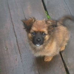 ���� ����, ����������, 52 ���� - ��������� 8 ���� 2012