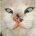  , --, 50  -  11  2012    