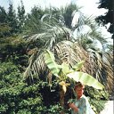 ���� �����, �����-���������, 49 ��� - ��������� 4 ������ 2011 � ������ �������