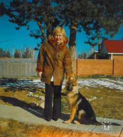 �����, �������, 67 ���