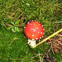 ���� ����, ������ ��������, 24 ���� - ��������� 27 ���� 2011 � ������ ���� ����������