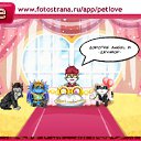 ���� ~*Gold Angel*~, ������������, 45 ��� - ��������� 8 ������� 2010 � ������ �PetLove�