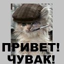 ���� �����, �����-���������, 53 ���� - ��������� 29 ���� 2013