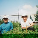 ���� ���, ��������, 70 ��� - ��������� 27 ������ 2012