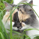 ��� ������ ��� =) �� ������� ������