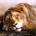 ���� �������, �������������� - ��������� 7 ������� 2012 � ������ ���� ����������