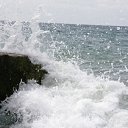 ���� �, �����-���������, 50 ��� - ��������� 16 �������� 2010 � ������ ���� �����