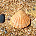 ���� �������, �����, 57 ��� - ��������� 24 ���� 2010 � ������ �����... ����... �����...�