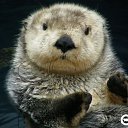 ���� Limon, ���������, 39 ��� - ��������� 10 ���� 2009 � ������ ���� �������� ��������...�