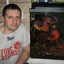 ���� ���..., ����, 57 ��� - ��������� 22 ������ 2013 � ������ ���� ����������