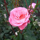 ���� �����, �������, 44 ���� - ��������� 12 ������� 2010 � ������ ������ � ���� ����