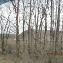  , -, 57  -  22  2012   ,     .