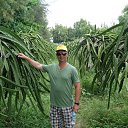 ���� �������, ���������, 60 ��� - ��������� 28 ������ 2012 � ������ ���� ����������