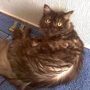 ���� ������, �����, 47 ��� - ��������� 26 ���� 2012 � ������ �������