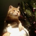 ���� Yrii, �������, 52 ���� - ��������� 17 ������ 2010 � ������ ������