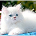 � ����� �������� ���� vk.com/fotiko �� ������� ���� ������� ������