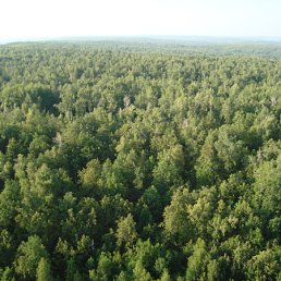 ���� �����, ��������, 43 ���� - ��������� 30 ���� 2010