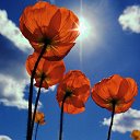 ���� Smile, ������, 55 ��� - ��������� 12 ������ 2010 � ������ ���� ����� � ������