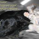 ���� ******Elena, ������, 45 ��� - ��������� 23 ������ 2012 � ������ �������