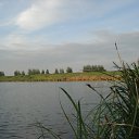   , , 74  -  11  2012    