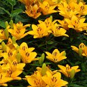 ���� ������, ������, 63 ���� - ��������� 5 ������� 2011 � ������ ������-���� �����-2�