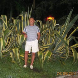 Vyacheslav, �����, 61 ���