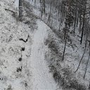 ���� ���, ����������, 37 ��� - ��������� 14 ����� 2010 � ������ �����������. ���-���� "�������� ���"�