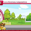  , , 41  -  22  2010   PetLove