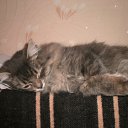 ���� Byaka, ���������, 41 ��� - ��������� 28 ������ 2010 � ������ ���� ������ ����� ������!!!�