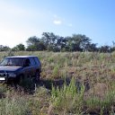 ���� Natali, ������� - ��������� 14 ���� 2010 � ������ ��������������)�