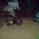 ���� Anita, ������ - ��������� 23 ������� 2009 � ������ �������